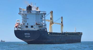 Mv Sevgi Sold on auction by solution strategists